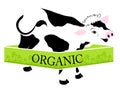 Organic milk and meat