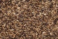 Organic Milk Thistle (Silybum marianum) seeds. Royalty Free Stock Photo