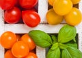 Organic Mini Tomatoes with basil and pepper in wooden box on stone kitchen background. San Marzano, orange and cherry tomatoes Royalty Free Stock Photo