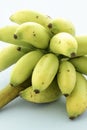 Organic miniature bananas Royalty Free Stock Photo