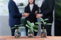 Organic money growth investment concept with saving money coin and plant. Quaint