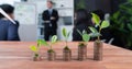 Organic money growth investment concept with stacking coin and plant. Quaint