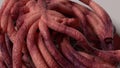 Organic Monster Tentacles Many Curvy Organic Pink 3D Rendering Image Abstract Background