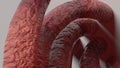 Organic Monster Tentacles Seductive Organic Bunch Pink 3D Rendering Image Abstract Background