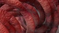 Organic Monster Tentacles Organic Seductive Bunch Pink 3D Rendering Image Abstract Background