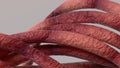 Organic Monster Tentacles Seductive Organic Pink 3D Rendering Image Abstract Background