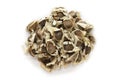 Organic Moringa (Moringa oleifera) seeds.