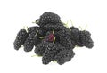 Organic Mulberry fruit. Pile of ripe black juicy mulberry isolated on a white background. Full depth of field