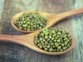 Organic mungbeans Royalty Free Stock Photo