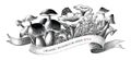 Organic mushroom farm hand drawing vintage style black and white clip art
