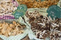 Different organic mushroom varieties at the local farmer market Royalty Free Stock Photo