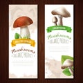 Organic Mushrooms Vertical Banners Royalty Free Stock Photo