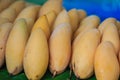 Organic Nam Dok Mai mangoes for sale at the fruit market. The Na Royalty Free Stock Photo