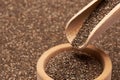 Organic natural chia seeds, wooden scoop and bowl close-up Royalty Free Stock Photo