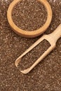 Organic natural chia seeds, wooden scoop and bowl close-up Royalty Free Stock Photo