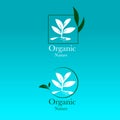 Organic and natural green leaf vector logo