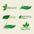 Organic natural logo design template signs with green leaves. Royalty Free Stock Photo