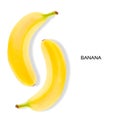 Organic natural resh banana on a withe background