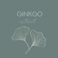 Organic Natural Zero Waste Ginkgo Biloba Leaf Cosmetic Package Design Template. Minimal Plant Greenery Label or Sticker Design.