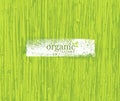 Organic Nature Friendly Eco Bamboo Background. Bio Vector Texture. Royalty Free Stock Photo