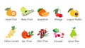 A Organic nature health fruit isolated vector collection set