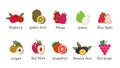 A Organic nature health fruit isolated vector collection set