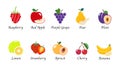 A Organic nature health fruit isolated vector collection set