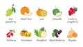 A Organic nature health fruit isolated vector collection set