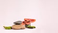 Organic nature moss and mushroom products display. Natural style. Stone pedestal with green moss on pastel background for