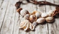 Seashell necklace with copy space