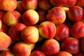 Organic Nectarines