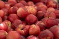 Organic Nectarines at a Farmers Market