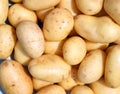 Organic new potatoes. Royalty Free Stock Photo