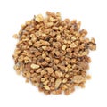 Organic Nutmeg (Myristica fragrans) in big cut size. Royalty Free Stock Photo