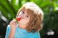 Organic nutrition. Cute cheerful child eats strawberries on green summer background. The schoolboy is eating healthy Royalty Free Stock Photo