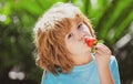 Organic nutrition. Cute cheerful child eats strawberries on green summer background. The schoolboy is eating healthy Royalty Free Stock Photo