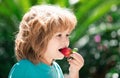 Organic nutrition. Cute happy baby boy with strawberry on green spring background, outdoor. Close up kids happy face. Royalty Free Stock Photo
