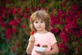 Organic nutrition. Kids funny face. Cute cheerful child eats strawberries. The schoolboy is eating healthy food. Happy