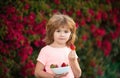 Organic nutrition. Kids funny face. Cute cheerful child eats strawberries. The schoolboy is eating healthy food. Happy Royalty Free Stock Photo