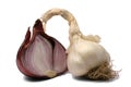 Organic onion and garlic