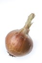 Organic Onion