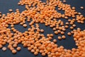 Organic orange grains lentils on a black background