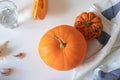 Organic orange pumpkins on the white table.