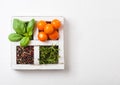 Organic Orange Rapture Cherry with basil and pepper and rosemary in white wooden box on stone kitchen background. Cooking concept