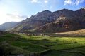 Organic paddy field near rock mountain valley, Northern India