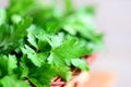 Organic parsley leaves. Rich source of flavonoid and antioxidants, folic acid, vitamin K, vitamin C and vitamin A. Raw nutrition Royalty Free Stock Photo