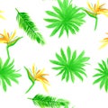 Organic Pattern Exotic. Green Seamless Art. Natural Tropical Vintage. White Isolated Hibiscus. Drawing Hibiscus.