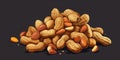 Organic Peanut Nuts Horizontal Trendy Illustration.
