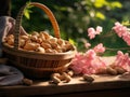 Organic Peanut Nuts Horizontal Illustration.