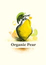 Organic Pear. Fresh Local Farm Fruit Artistic Illustration